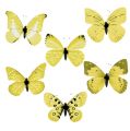 Floristik24 Butterfly yellow on the clip 11cm 6pcs