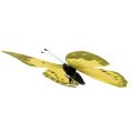 Floristik24 Butterfly yellow on the clip 11cm 6pcs