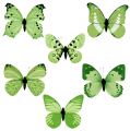 Floristik24 Butterfly green on clip 10cm - 11cm 6pcs