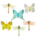 Floristik24 Butterfly and dragonfly with clip assorted 6pcs