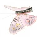 Floristik24 Deco butterflies with clip, feather butterflies pink 4.5-8cm 10p