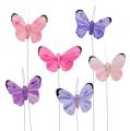 Floristik24 Butterfly 5cm pink-purple sort. 24st