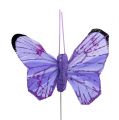 Floristik24 Butterfly 5cm pink-purple sort. 24st