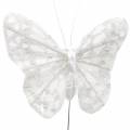 Floristik24 Feather butterfly with wire white, glitter 5cm 24pcs