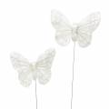Floristik24 Feather butterfly with wire white, glitter 5cm 24pcs