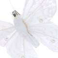 Floristik24 Feather butterfly on clip white 10 cm 12 pcs
