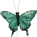Floristik24 Decorative butterflies, spring decoration, feather butterflies, plant plugs green, brown 9.5×12.5cm 12pcs