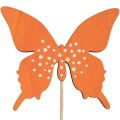 Floristik24 Butterfly wooden flower plug colored 9cm/29cm 12pcs