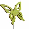 Floristik24 Flower studs butterfly wood 7x5.5cm 12pcs assorted