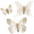 Floristik24 Feather butterfly on clip champagne glitter 10pcs