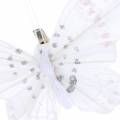 Floristik24 Feather butterfly on clip white 10cm 12 p