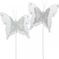 Floristik24 Butterflies with pearls and mica, wedding decorations, feather butterflies on white wire