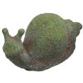 Floristik24 Garden figurine snail mossy 31cm x 17cm H17cm