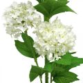 Floristik24 Snowball Branch Artificial Plant Silk Flower White Ø6.5cm L78cm