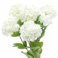 Floristik24 Snowball Viburnum Branch White 42.5cm