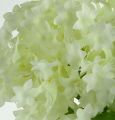 Floristik24 Snowball, silk flowers white 47cm