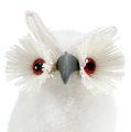 Floristik24 Snowy Owl white 18cm