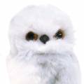 Floristik24 Snowy owls to hang white 12cm 2pcs