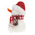 Floristik24 Snowman white-red flocked 24cm