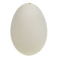 Floristik24 Swan eggs 9cm cream-white 6pcs