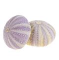 Floristik24 Sea urchin white-violet 20pcs