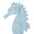 Floristik24 Seahorse to hang blue, white hanger maritime decoration 8pcs