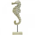 Floristik24 Seahorse made of wood, maritime decoration, decorative figure sea animal natural color, white H35cm