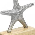 Floristik24 Metal starfish, maritime decoration, decorative sculpture silver, natural colors H18cm