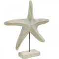 Floristik24 Starfish made of wood, decorative sculpture maritime, sea decoration natural colors, white H28cm
