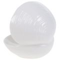 Floristik24 Soap dish shell 12cm x 10.5cm x 11cm white