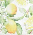 Floristik24 Napkins white with lemons summer decoration 33x33cm 20pcs