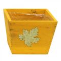 Floristik24 Plant box wood shabby chic wooden box yellow 11×14.5×14cm