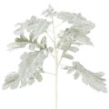 Floristik24 Artificial Senecio branch (ragwort), intricately crafted, 45cm, 3 pieces