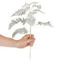 Artificial Senecio branch (ragwort), intricately crafted, 45cm, 3 pieces | Floristik24.co.uk