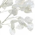 Floristik24 Decorative branch silver leaf white Lunaria branch artificial branch 70cm