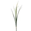 Floristik24 Silver hair grass green plant sweet grass artificial 104cm