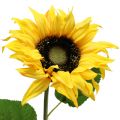 Floristik24 Long-stemmed sunflower yellow 53cm