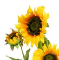 Floristik24 Sunflower yellow 85cm