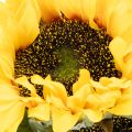 Artificial Sunflower Stems with Realistic Leaves and Blooms, 58cm, Set of 3 | Floristik24.co.uk