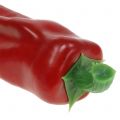 Floristik24 Pointed peppers red 14cm 8pcs