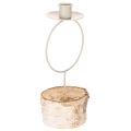 Floristik24 **Birch Wood Candle Holder with White Metal Ring 20cm**

```html
<h2>Decorative Birch Wood Candle Holder with White Metal Ring</h2>

<p>
This decorative candle holder combines natural birch wood with a minimalist white metal ring to create an elegant and 