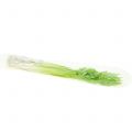 Floristik24 Artificial celery Real-Touch 28cm
