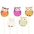 Floristik24 Wooden Owl Plant Stakes for Flower Arrangements and Pots, 31cm, Set of 12