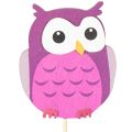 Wooden Owl Plant Stakes for