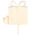 Wooden Gift Box Plant Sticks