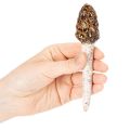 Artificial morel mushroom decorative stake for plant pots and table, 13cm, 2 pieces | Floristik24.co.uk