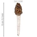 Artificial morel mushroom decorative stake for plant pots and table, 13cm, 2 pieces | Floristik24.co.uk