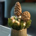 Artificial morel mushroom decorative stake for plant pots and table, 13cm, 2 pieces | Floristik24.co.uk