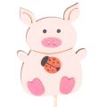 Wooden Pig Plant Sticks 31cm, Set of 16, Multicoloured Designs | Floristik24.co.uk