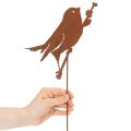 Metal Bird Garden Stake with Rustic Finish, 52cm | Floristik24.co.uk